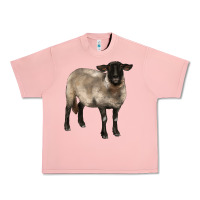 Salmon suffolk ewe Urban Heavy Tee - BarkalooDesign