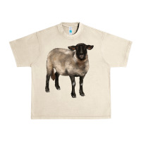 Sandshell suffolk ewe Urban Heavy Tee - BarkalooDesign