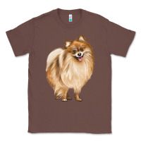 Chestnut Pomeranian Dog Illustrations Classic Tee - LillyAllenDesigns