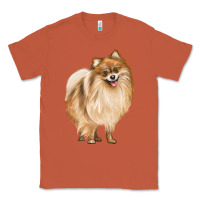 Copper Pomeranian Dog Illustrations Classic Tee - LillyAllenDesigns