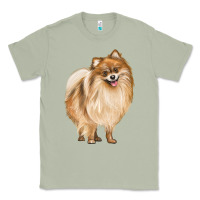 Matcha Pomeranian Dog Illustrations Classic Tee - LillyAllenDesigns