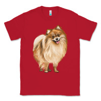 Red Pomeranian Dog Illustrations Classic Tee - LillyAllenDesigns
