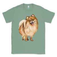 Sage Pomeranian Dog Illustrations Classic Tee - LillyAllenDesigns