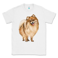 White Pomeranian Dog Illustrations Classic Tee - LillyAllenDesigns