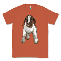 Copper baby boer goat Classic Tee - LillyAllenDesigns