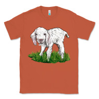 Copper Baby Angora Goat Classic Tee - LillyAllenDesigns