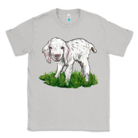 Moon Dust Baby Angora Goat Classic Tee - LillyAllenDesigns