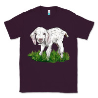 Plum Baby Angora Goat Classic Tee - LillyAllenDesigns