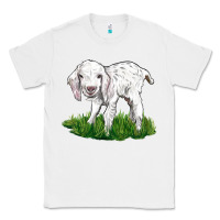 White Baby Angora Goat Classic Tee - LillyAllenDesigns