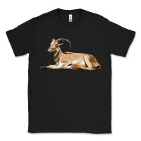Black Spanish Goat Classic Tee - LillyAllenDesigns