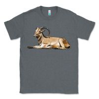 Charcoal Heather Spanish Goat Classic Tee - LillyAllenDesigns