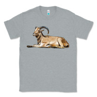 Heather Grey Spanish Goat Classic Tee - LillyAllenDesigns