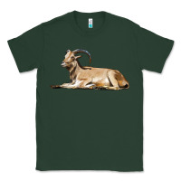 Sports Green Spanish Goat Classic Tee - LillyAllenDesigns