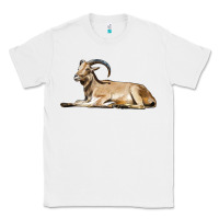 White Spanish Goat Classic Tee - LillyAllenDesigns