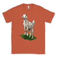Copper Kiko Goat Classic Tee - LillyAllenDesigns