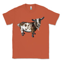 Copper Nigerian Dwarf Goat Classic Tee - LillyAllenDesigns