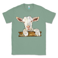 Sage baby cashmere goat Classic Tee - LillyAllenDesigns