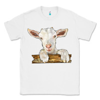 White baby cashmere goat Classic Tee - LillyAllenDesigns