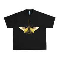 Black Hercules Beetle With Wings Urban Heavy Tee - LillyAllenDesigns