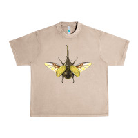 French Oak Hercules Beetle With Wings Urban Heavy Tee - LillyAllenDesigns