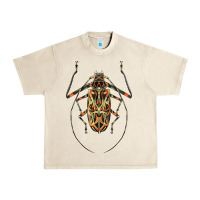 Sandshell Acrocinus Beetle Illustrations Urban Heavy Tee - LillyAllenDesigns