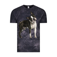 Cloud Black Boston Terrier Vintage Tee - LillyAllenDesigns