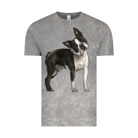 Cloud Rock Boston Terrier Vintage Tee - LillyAllenDesigns
