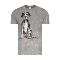 Cloud Rock Great Dane Dog Vintage Tee - LillyAllenDesigns