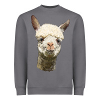 Storm Alpaca Head Heavyweight Sweatshirt - LillyAllenDesigns