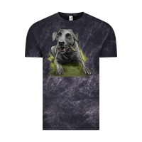 Cloud Black Texas Blue Lacy Dog Vintage Tee - LillyAllenDesigns