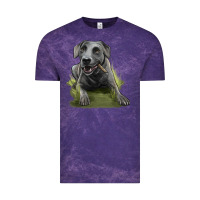 Cloud Purple Texas Blue Lacy Dog Vintage Tee - LillyAllenDesigns