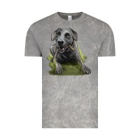 Texas Blue Lacy Dog Vintage Tee | Teevron