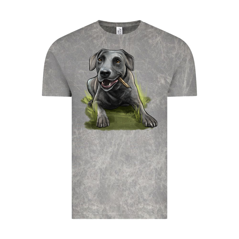 Texas Blue Lacy Dog Vintage Tee by LillyAllenDesigns | Teevron