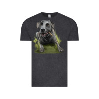 Vintage Black Texas Blue Lacy Dog Vintage Tee - LillyAllenDesigns