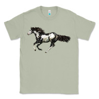 Matcha American Paint Horse Classic Tee - LillyAllenDesigns