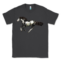Smoke American Paint Horse Classic Tee - LillyAllenDesigns
