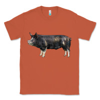Copper berkshire pig Classic Tee - LillyAllenDesigns