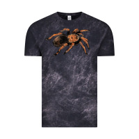 Cloud Black Mexican Red Knee Tarantula Vintage Tee - LillyAllenDesigns