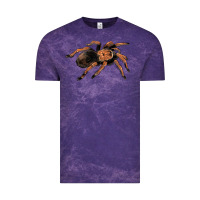 Cloud Purple Mexican Red Knee Tarantula Vintage Tee - LillyAllenDesigns
