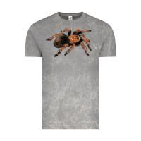 Cloud Rock Mexican Red Knee Tarantula Vintage Tee - LillyAllenDesigns