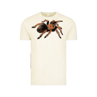 Vintage Arctic Mexican Red Knee Tarantula Vintage Tee - LillyAllenDesigns