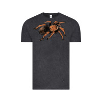 Vintage Black Mexican Red Knee Tarantula Vintage Tee - LillyAllenDesigns