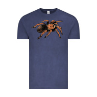 Vintage Denim Mexican Red Knee Tarantula Vintage Tee - LillyAllenDesigns