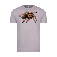 Vintage Zinc Mexican Red Knee Tarantula Vintage Tee - LillyAllenDesigns