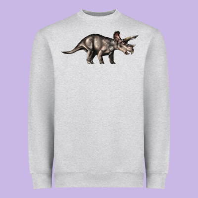 Triceratops Horridus Heavyweight Sweatshirt Designed By Lillyallendesigns