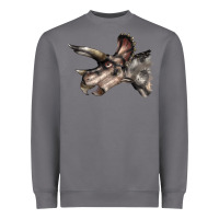 Storm Triceratops Horridus Face Heavyweight Sweatshirt - LillyAllenDesigns