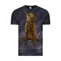 Cloud Black chesapeake bay retriever Vintage Tee - LillyAllenDesigns