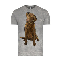 Cloud Rock chesapeake bay retriever Vintage Tee - LillyAllenDesigns