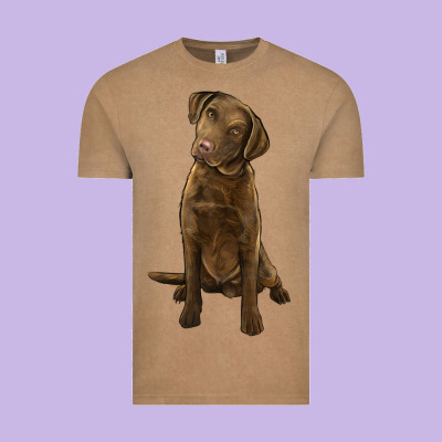 Chesapeake Bay Retriever Vintage Tee Designed By Lillyallendesigns