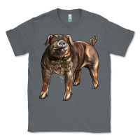 Charcoal Heather Duroc Pig Classic Tee - LillyAllenDesigns